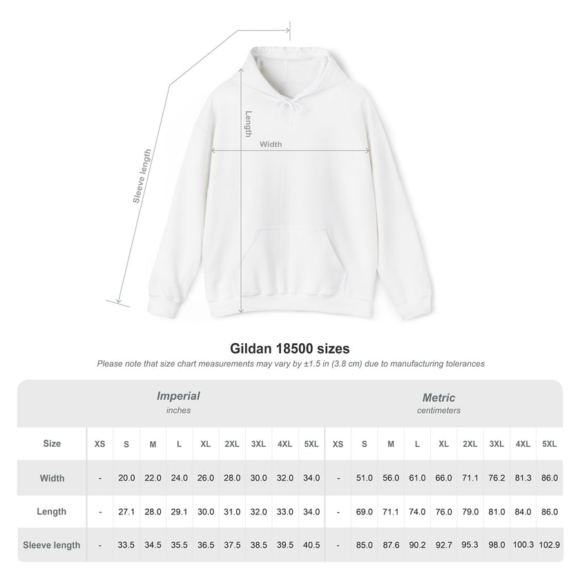 MySoulCat Cozy Unisex Pullover Hoodie — Aurora