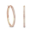 Lovely Rose Gold Pavé 42-Stone Classic Medium Hoop Earrings