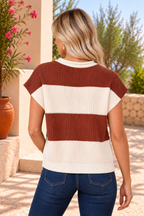 Stripe Colorblock V-Neck Knit Top — brown stripe back view