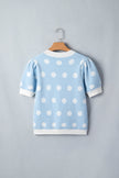 Polka Dot Puff Short Sleeve V-Neck Sweater