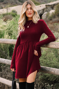 Ribbed Knit Patchwork Long Sleeve Mini Dress - additional product view